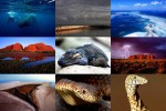 Australien-und-mehr.pps auf www.funpot.net