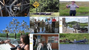 everglades safari park