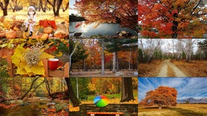 Beautiful Autumn