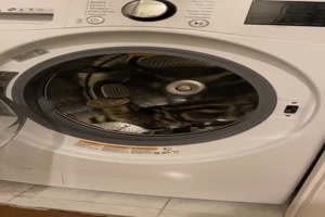 Waschmaschine als Laufrad für Katze