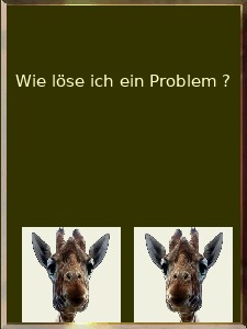 Wie lse ich ein Problem