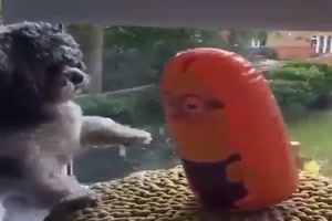 Hund spielt mit Minionballon