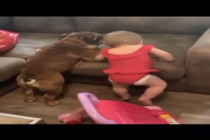 Hund und Baby kommen nicht aufs Sofa