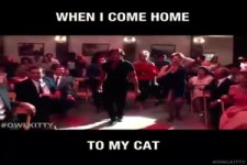 Wenn ich nach Hause komme empfange ich meine Katze so :