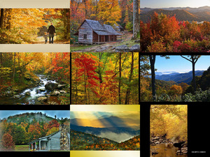 AutumninTennessee-Brenda