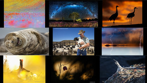 nature image awards2016