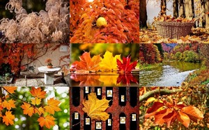 Fall Colors - Herbstfarben