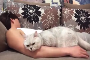 Cute cat sleeping with owner - Nette Katze