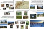 50-Jahre-Nationalpark-Bayerischer-Wald.pps auf www.funpot.net