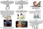 Internetsüchtig.pps auf www.funpot.net