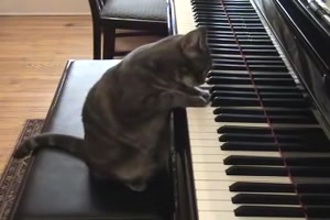 Ich kann auch Klavier spielen 