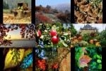 Octobre---Oktober.pps auf www.funpot.net