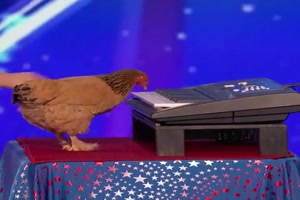 Hühner-Musik