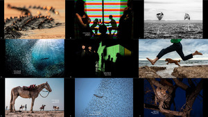 Siena International Photo Awards 2020 3-3 2