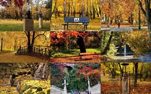 Fall In The Park - Herbst im Park