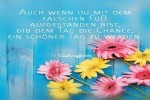 . auf www.funpot.net