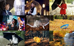 Umbrellas in Fall - Regenschirme im Herbst