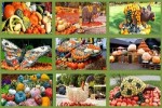 Herbst---Kürbisse.ppsx auf www.funpot.net