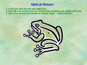 opticalillusion