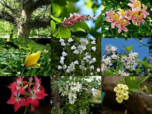 Botanische tuin Kerkrade - Botanischer Garten Kerkrade