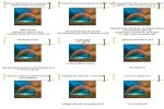 Alles-haben-und-trotzdem-nicht-glücklich-sein.pps auf www.funpot.net