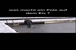 Was macht ein Pole auf dem Eis?