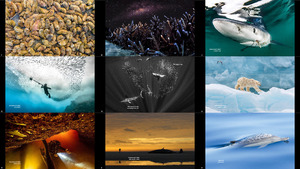 Ocean Photography Awards 2020 2-1