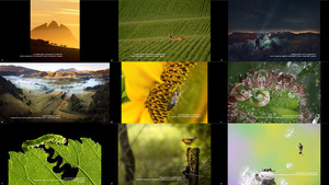 The Winners of EEA s REDISCOVER Nature Photo