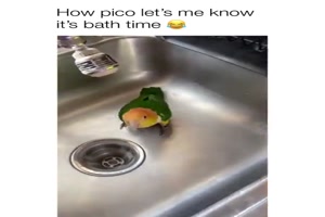 Pico will ein Bad haben