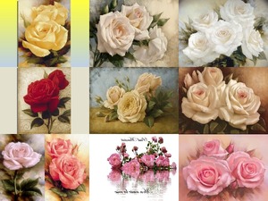 Igor Levashov - Des roses - Rosen