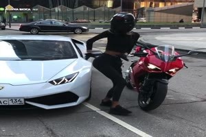 Lamborghini gegen Ducati. Frauchen muss sich entscheiden