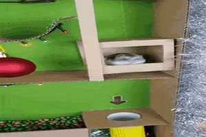 Parkours für den Hamster