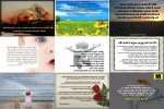 . auf www.funpot.net