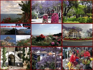 Funchal-Portugal