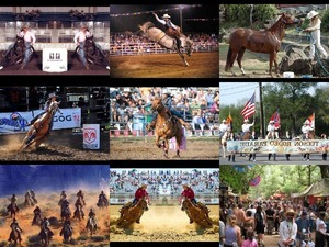 Rodeo Riders