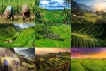 Reisfelder.ppsx auf www.funpot.net