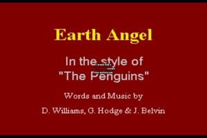 Penguins - Earth Angel