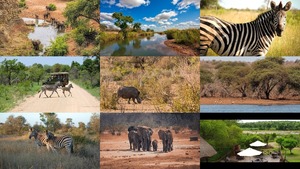 Krgerpark Sdafrika