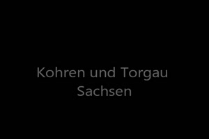 Kohren und Torgau Sachsen