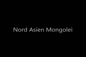 Mongole Niord Asien