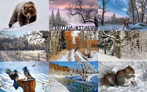 Winter Nature 2 - Winter Natur 2