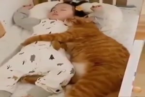 Katze liebt das Baby