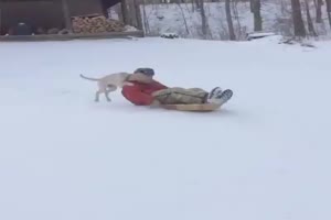 Spa mit Hunden im Winter