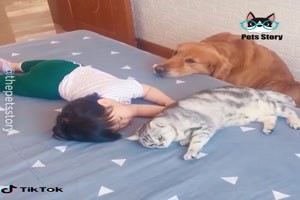 Hund und Katz. So liebevoll