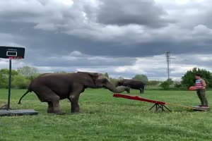 Spa mit Elefanten