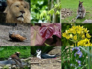 Impressionen aus Mondo Verde