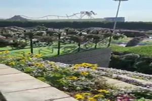 Wundergarten in Dubai