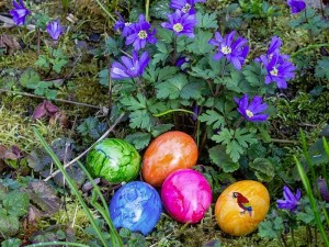 Frohe Ostern 7