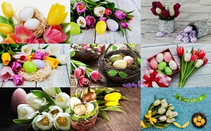 Easter Tulips 1 - Ostertulpen 1