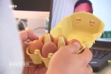 können aus Supermarkt-Eiern Küken schlüpfen ?
